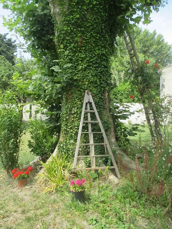 Villa Mas Le Nathakassou à Cabannes France